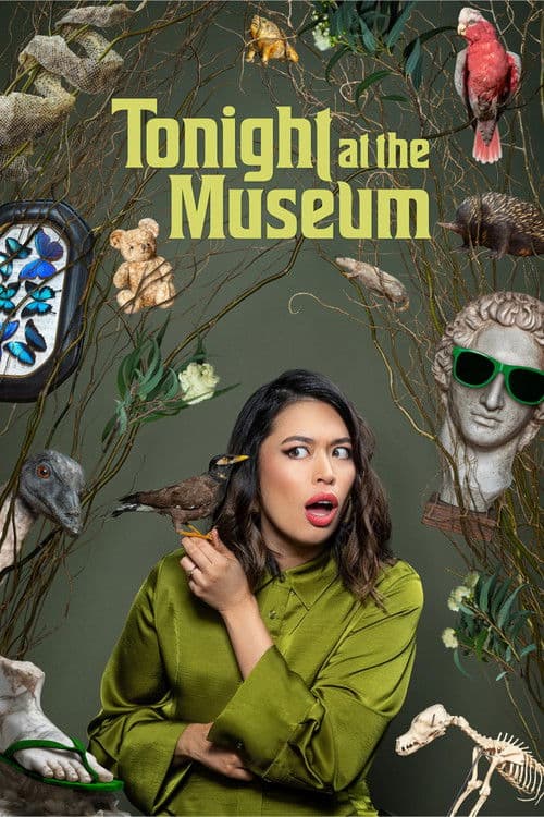 Tonight at the Museum Season 1 poster