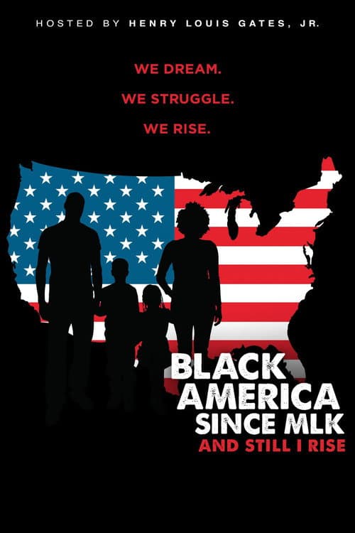 Black America Since MLK: And Still I Rise Miniseries poster