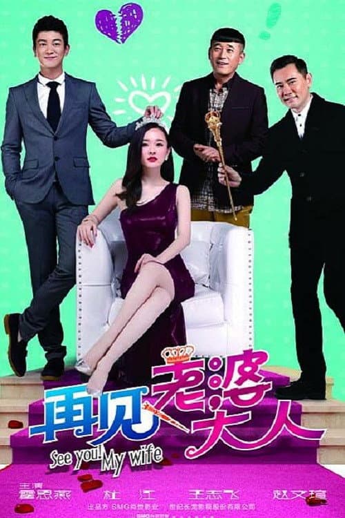 再见老婆大人 Season 1 poster