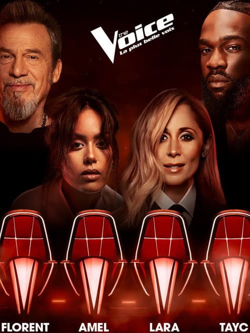 The Voice : La Plus Belle Voix Season 15 poster