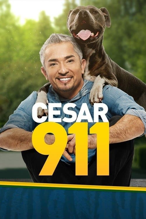 Cesar 911 Season 2 poster