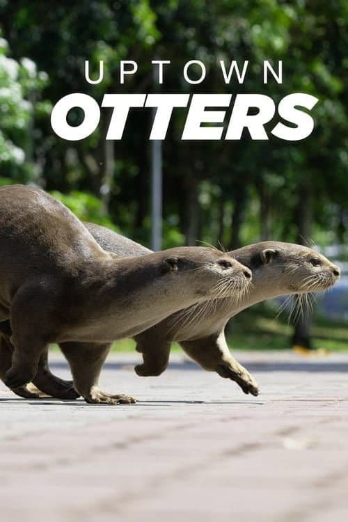 Uptown Otters Season 1 poster