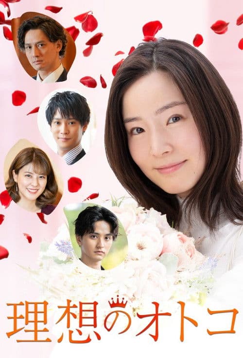 The Ideal Man Season 1 poster