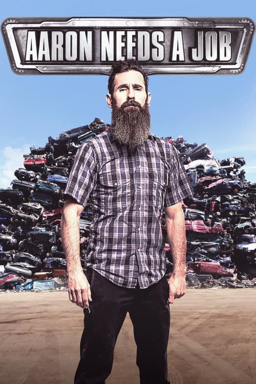 Aaron Needs a Job Season 1 poster