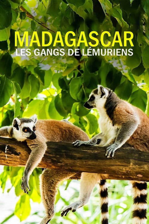 Gangs of Lemur Island Season 1 poster