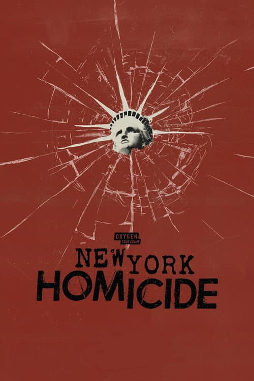 New York Homicide Season 2 poster