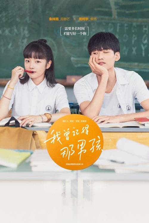 Remember My Boy Season 1 poster