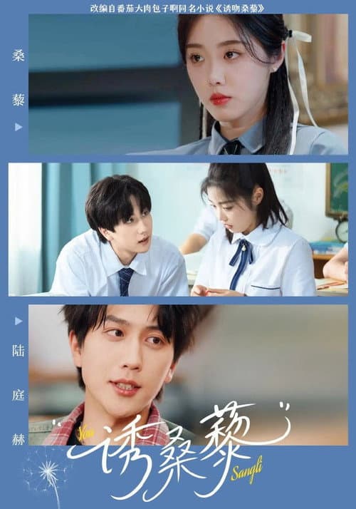 诱桑藜 Season 1 poster