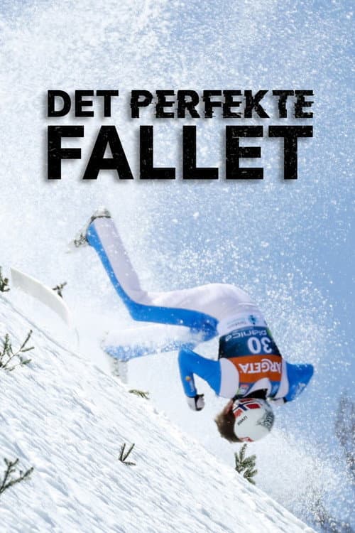 Det perfekte fallet Season 1 poster