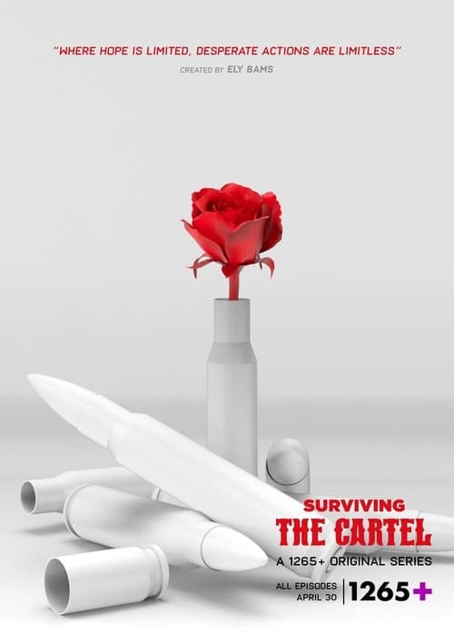 Sobreviviendo al cártel Season 1 poster