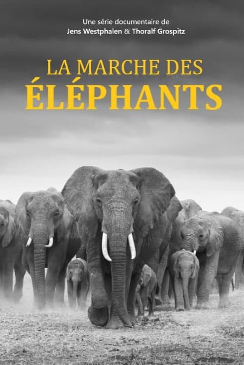 Elefanten hautnah Season 1 poster