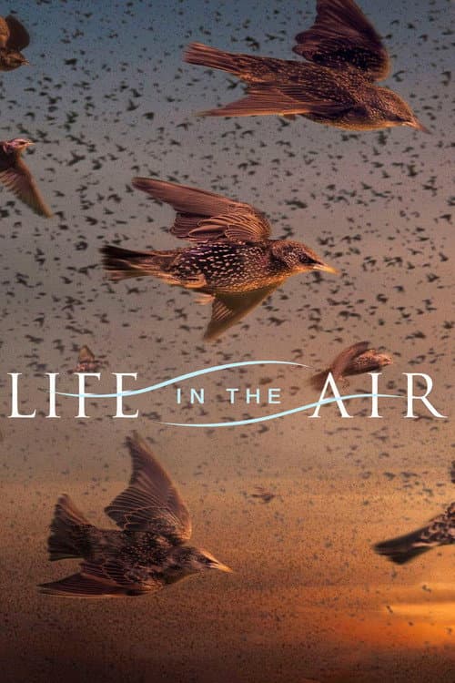 Life in the Air Miniseries poster