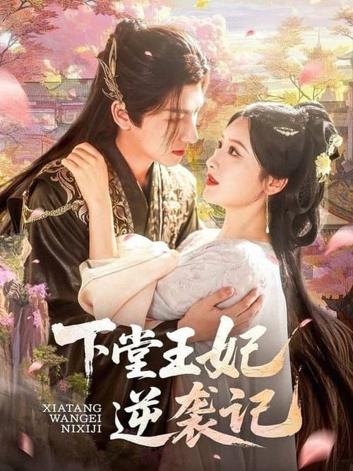 下堂王妃逆袭记 Season 1 poster