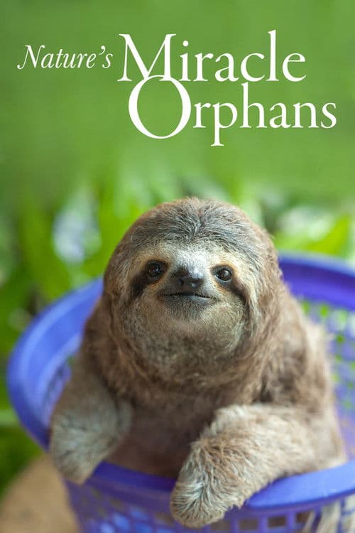 Nature's Miracle Orphans Series 2 poster