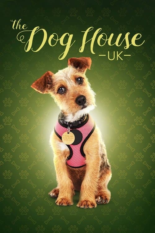 The Dog House Season 8 poster