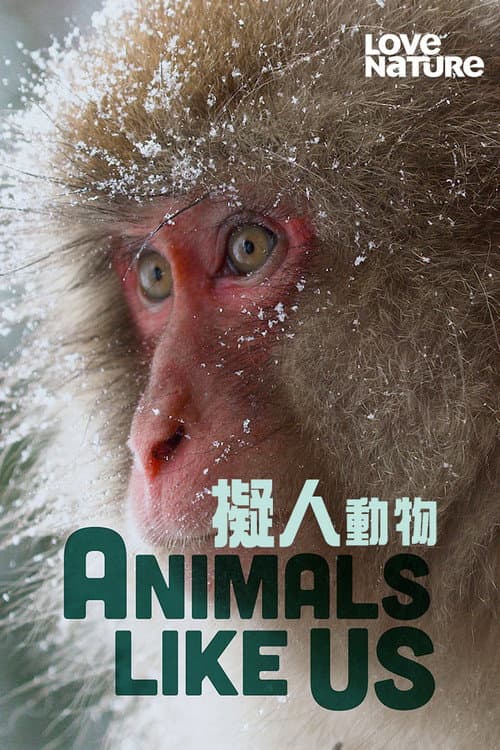 Animals Like Us Season 1 poster