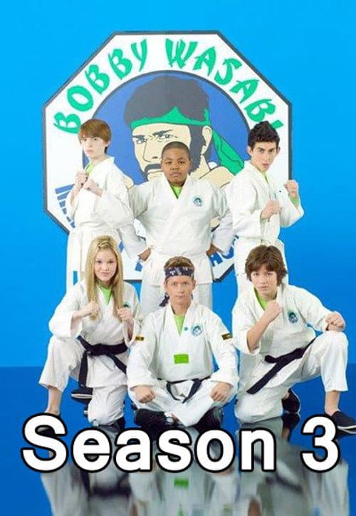 Kickin' It Season 3 poster