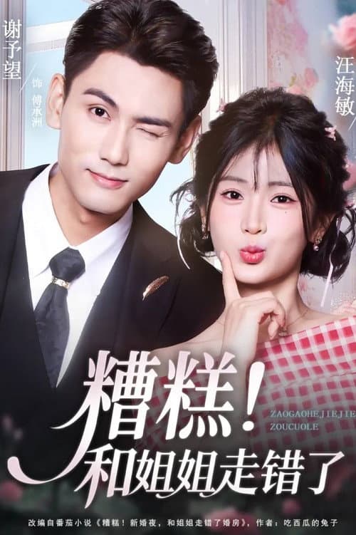 糟糕！和姐姐走错了 Season 1 poster