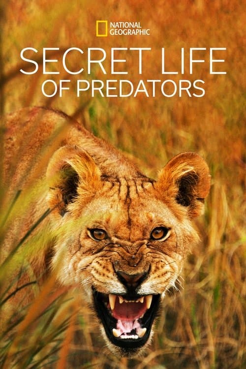 Secret Life of Predators Season 1 poster
