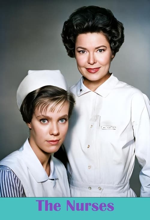 The Nurses Season 2 poster