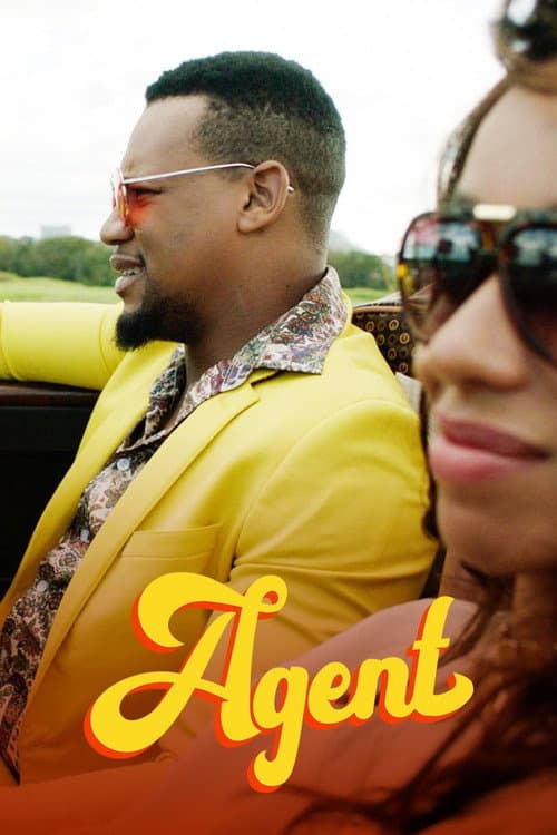 Agent Season 1 poster