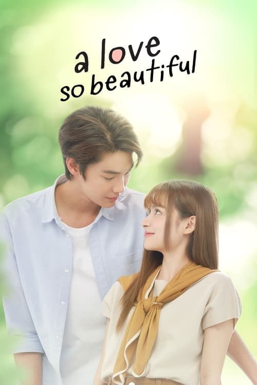 A Love So Beautiful Season 1 poster