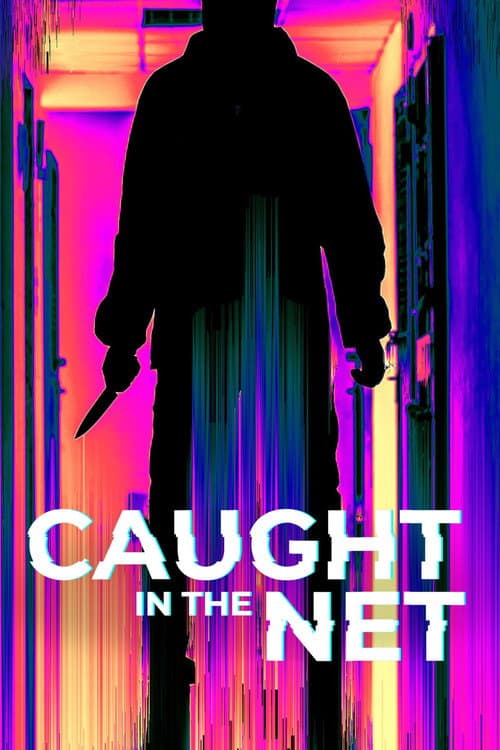 Caught in the Net Season 1 poster