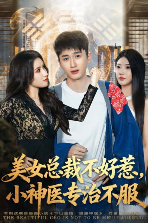 美女总裁不好惹，小神医专治不服 Season 1 poster