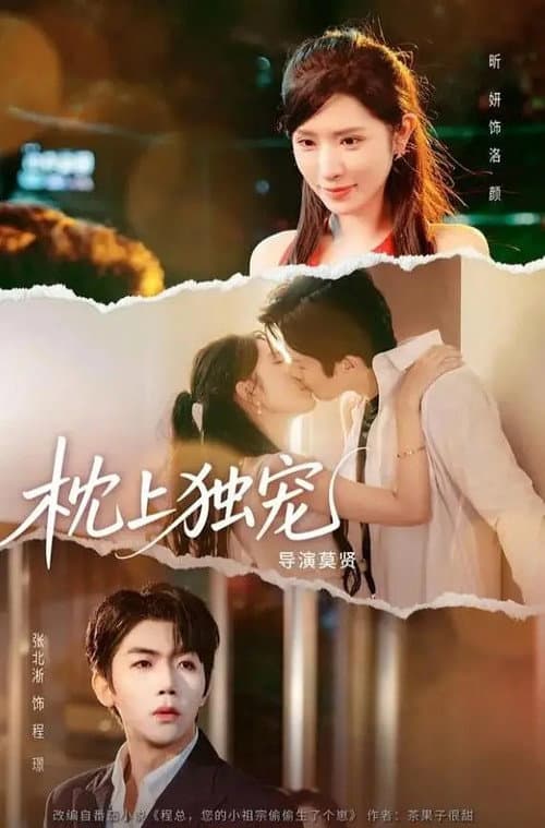 枕上独宠 Season 1 poster