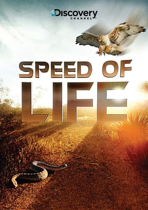 Speed of Life Season 1 poster