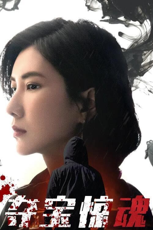 夺宝惊魂 Season 1 poster