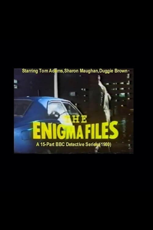 The Enigma Files Season 1 poster