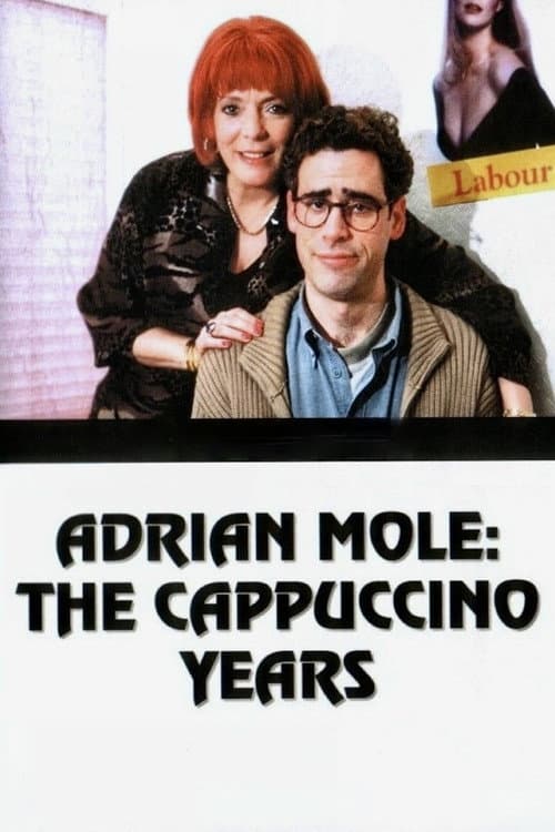 Adrian Mole: The Cappuccino Years Season 1 poster