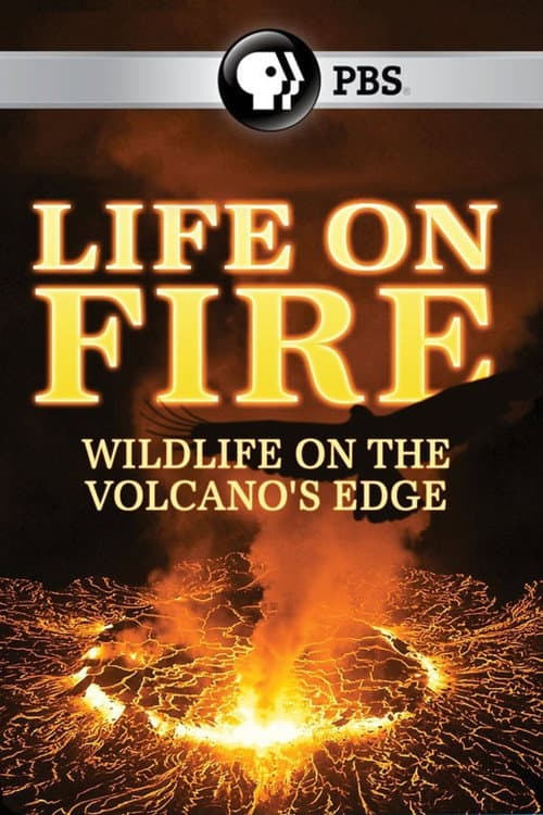 Life on Fire Season 1 poster