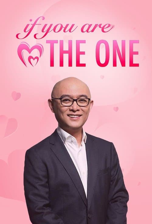 If You Are the One Season 2 poster