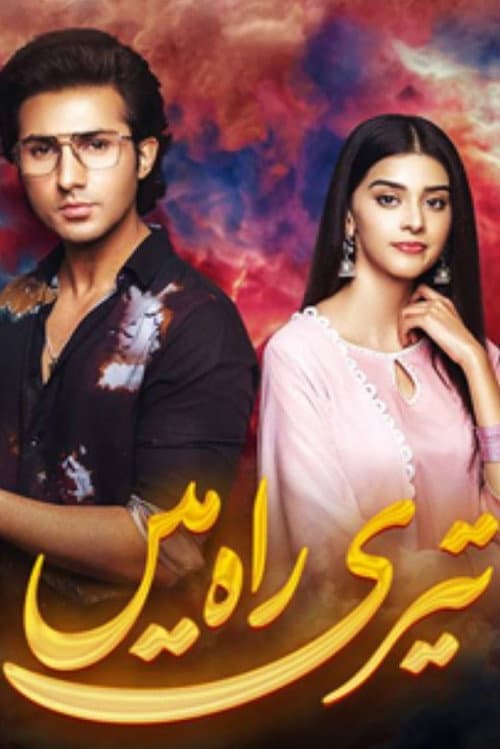 Teri Rah Mein Season 1 poster