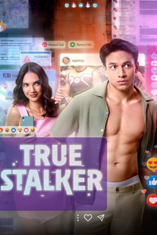 True Stalker Miniseries poster