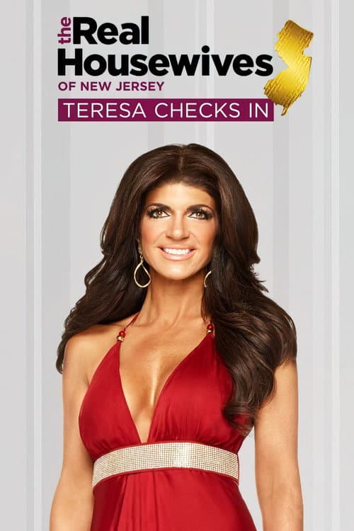 The Real Housewives of New Jersey: Teresa Checks In Season 1 poster