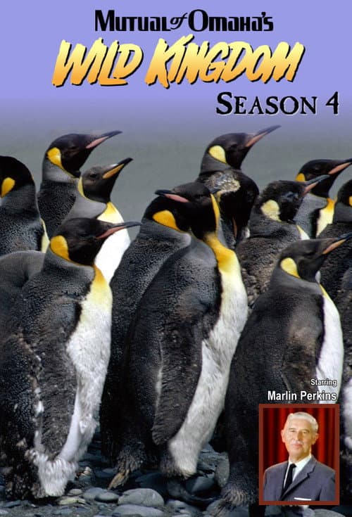 Mutual of Omaha's Wild Kingdom Season 4 poster