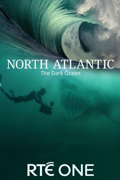 North Atlantic: The Dark Ocean Season 1 poster
