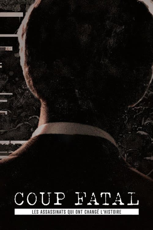 Fatal Shot Season 1 poster