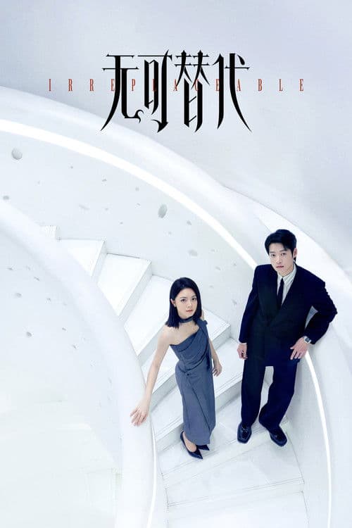 Irreplaceable Season 1 poster