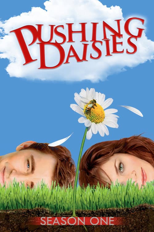 Pushing Daisies Season 1 poster