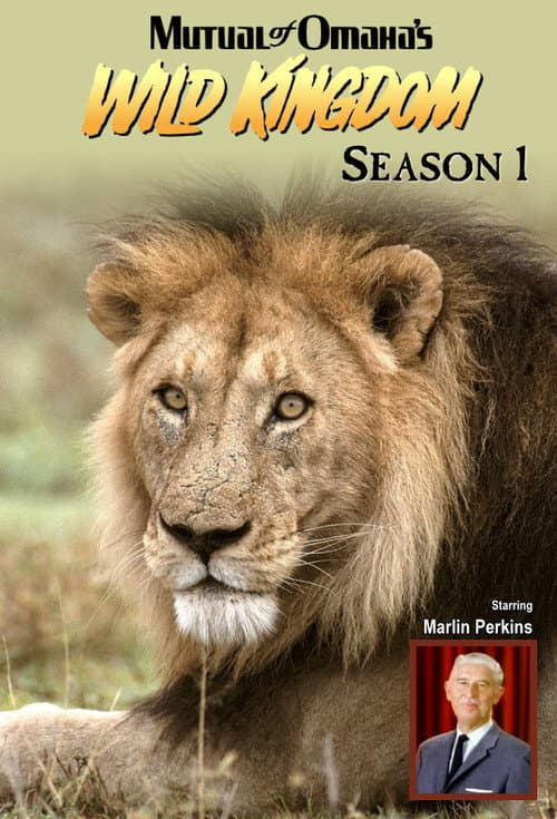 Mutual of Omaha's Wild Kingdom Season 1 poster