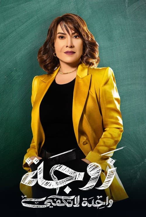 One Wife Is Not Enough Season 1 poster