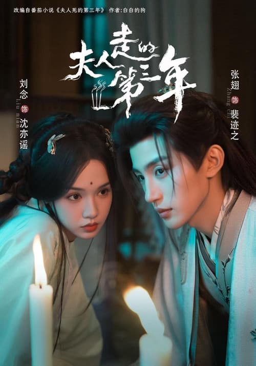夫人走的第三年 Season 1 poster