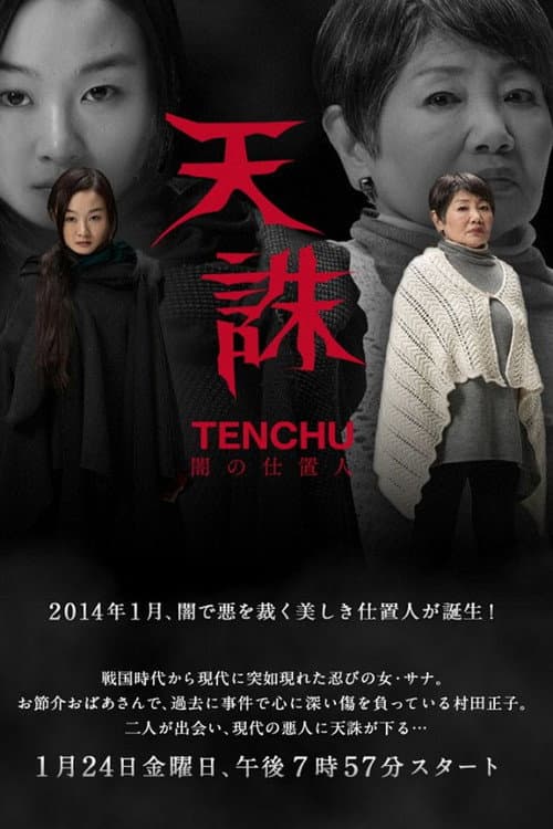 Tenchu: Ninja of Justice Season 1 poster