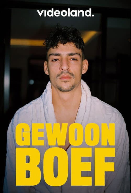 Gewoon Boef Season 1 poster