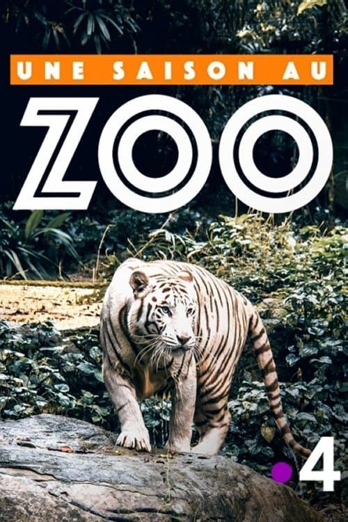 Une saison au zoo Season 2 poster