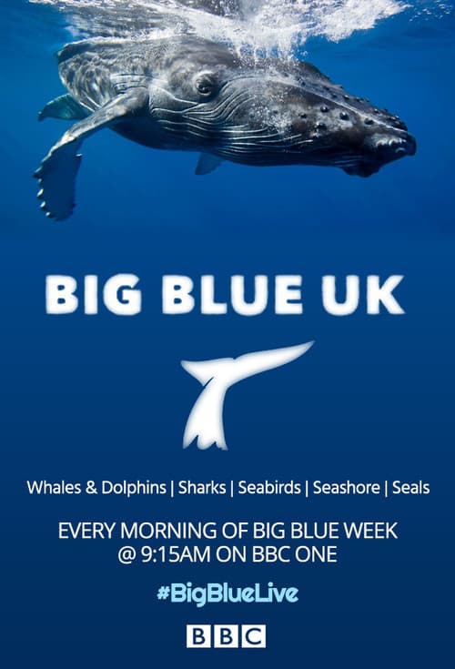 Big Blue UK Season 1 poster